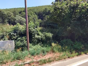 Prodej pozemku pro bydlení, Dlouhá Loučka, Valšův Důl, 515 m2