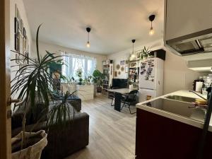 Pronájem bytu 2+kk, Brno - Žebětín, Říčanská, 43 m2