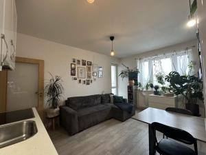Pronájem bytu 2+kk, Brno - Žebětín, Říčanská, 43 m2