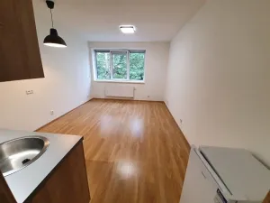Pronájem bytu 1+kk, Jihlava, U Cihelny, 28 m2