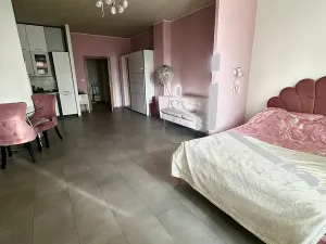 Pronájem bytu 1+kk, Praha - Libeň, Českomoravská, 50 m2