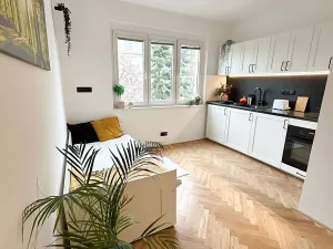 Pronájem bytu 1+kk, Praha - Strašnice, Sečská, 17 m2
