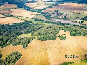 Prodej lesa, Zvěstov, 45954 m2