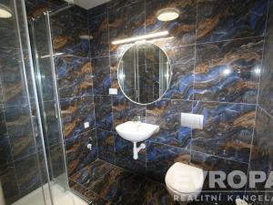 Pronájem bytu 1+kk, Praha - Žižkov, Biskupcova, 33 m2