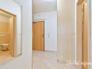 Pronájem bytu 1+kk, Brno, Sedláčkova, 32 m2