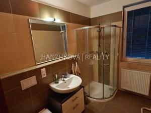 Pronájem bytu 1+kk, České Budějovice - České Budějovice 2, U Lesa, 26 m2