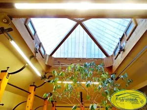 Pronájem obchodního prostoru, Olomouc, Ostružnická, 149 m2