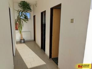 Pronájem výrobních prostor, Brno - Přízřenice, 291 m2