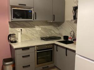 Prodej bytu 1+1, Teplice - Řetenice, Bratislavská, 41 m2