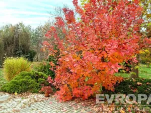 Prodej činžovního domu, Praha - Lipence, 958 m2