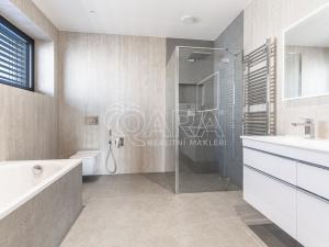 Pronájem bytu 6+kk a větší, Vestec, V Lukách, 313 m2