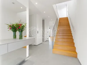 Pronájem rodinného domu, Vestec, V Lukách, 313 m2