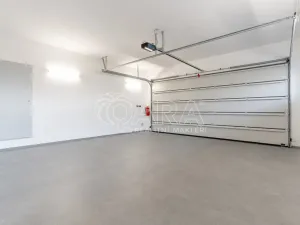 Pronájem rodinného domu, Vestec, V Lukách, 313 m2