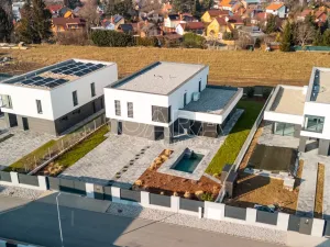 Pronájem rodinného domu, Vestec, V Lukách, 313 m2