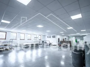 Pronájem obchodního prostoru, Bojkovice, 302 m2