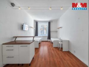 Pronájem bytu 1+kk, Plzeň, Vrchlického, 27 m2