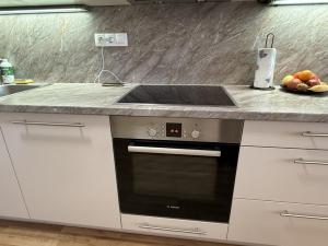 Pronájem bytu 3+kk, Pardubice - Zelené Předměstí, Hronovická, 100 m2