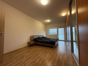 Pronájem bytu 3+kk, Pardubice - Zelené Předměstí, Hronovická, 100 m2