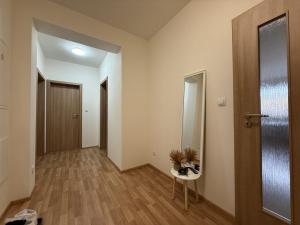 Pronájem bytu 3+kk, Pardubice - Zelené Předměstí, Hronovická, 100 m2