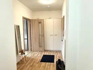 Pronájem bytu 3+kk, Pardubice - Zelené Předměstí, Hronovická, 100 m2