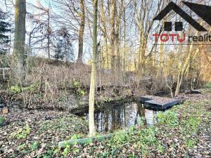 Prodej rybníku, Černožice, 44772 m2