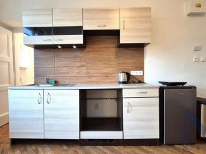 Pronájem bytu 1+kk, Praha - Libeň, V Holešovičkách, 20 m2