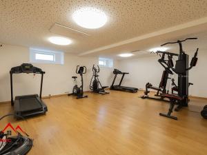 Pronájem bytu 1+kk, Ostrava, Cihelní, 17 m2