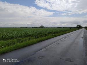 Prodej komerčního pozemku, Dolní Roveň, 13103 m2