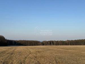 Prodej pole, Hvozdec, 2887 m2