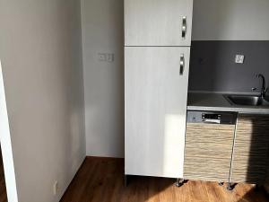 Prodej bytu 3+1, Litvínov, Hamerská, 69 m2