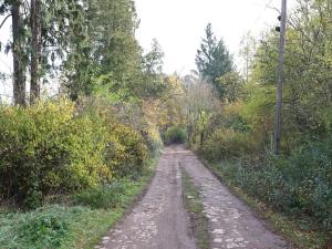 Prodej pozemku pro bydlení, Nespeky, 7717 m2