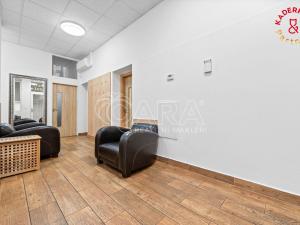 Prodej obchodního prostoru, Brno, Lidická, 326 m2