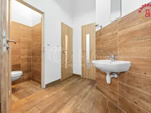 Prodej obchodního prostoru, Brno, Lidická, 326 m2