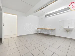 Prodej obchodního prostoru, Brno, Lidická, 326 m2