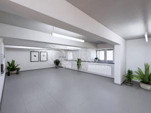 Prodej obchodního prostoru, Brno, Lidická, 172 m2
