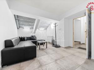 Prodej obchodního prostoru, Brno, Lidická, 172 m2