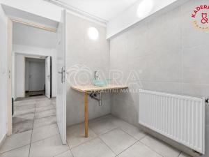 Prodej obchodního prostoru, Brno, Lidická, 172 m2