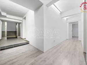 Prodej obchodního prostoru, Brno, Lidická, 172 m2