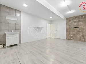 Prodej obchodního prostoru, Brno, Lidická, 172 m2