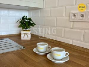 Pronájem bytu 1+kk, Ostrava, Francouzská, 29 m2