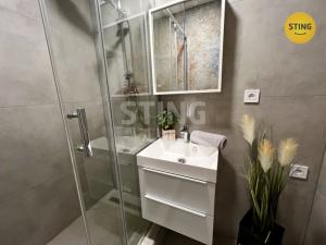 Pronájem bytu 1+kk, Ostrava, Francouzská, 29 m2