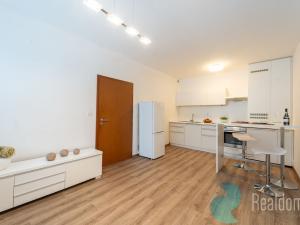Prodej bytu 2+kk, Praha - Žižkov, U kněžské louky, 43 m2