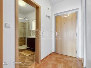 Prodej bytu 1+kk, Praha - Zličín, Vřesovická, 37 m2