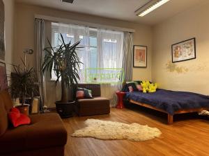 Pronájem bytu 2+kk, Brno, Kopečná, 49 m2