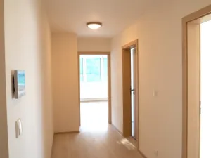 Pronájem bytu 3+kk, Brno, Vídeňská, 100 m2