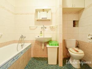 Pronájem bytu 1+kk, Brno, Mlýnské nábřeží, 29 m2