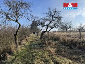 Prodej chaty, Hrušovany u Brna, 21 m2