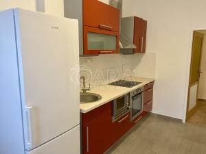 Pronájem bytu 2+1, Praha - Vinohrady, Písecká, 53 m2