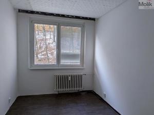 Pronájem bytu 4+1, Litvínov - Janov, Luční, 90 m2