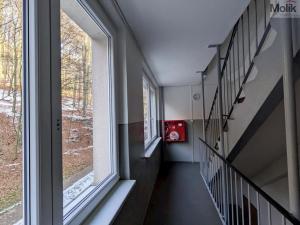 Pronájem bytu 4+1, Litvínov - Janov, Luční, 90 m2